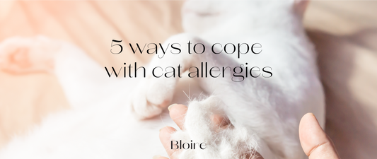 help you cope with cat allergies