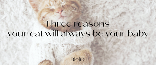 Three Reasons Why Your Cat Will Forever Remain Your Baby