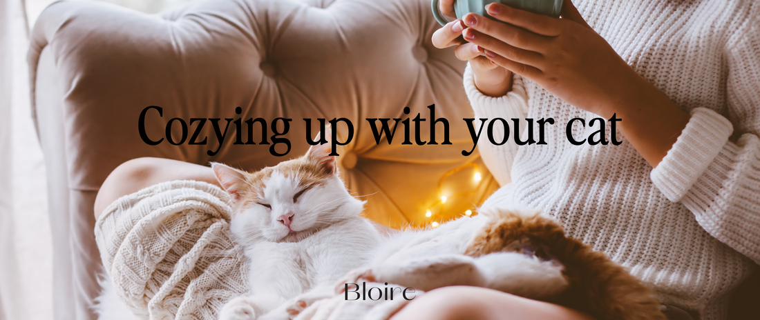 January is the perfect cozy time to spend quality time with your cat.