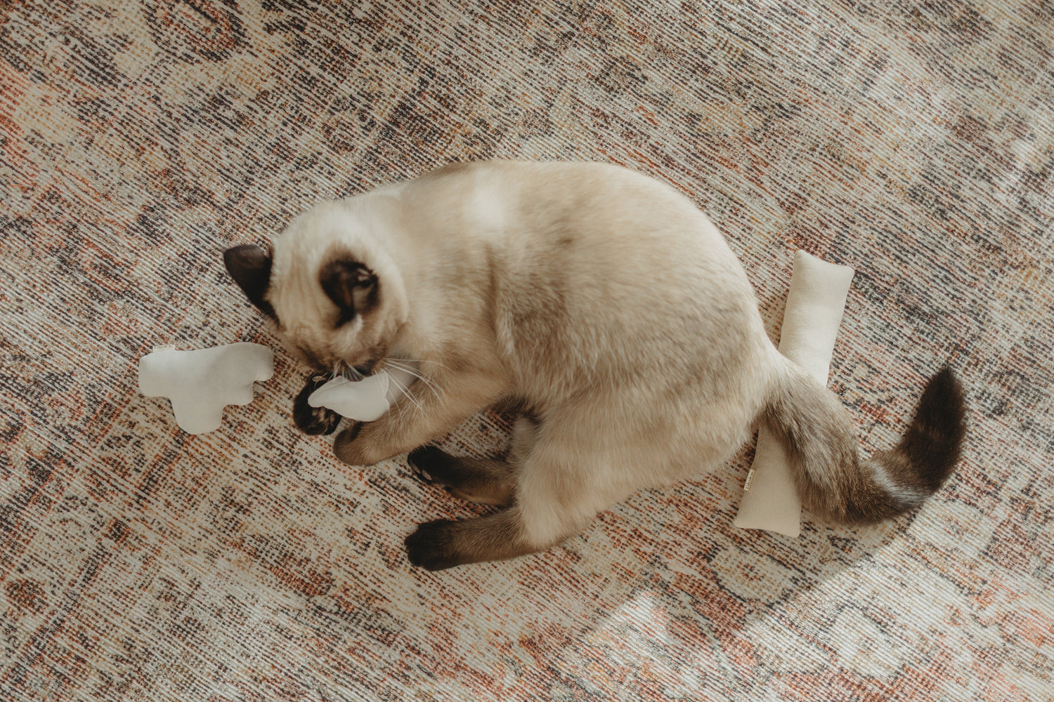 Toys – tagged CAT LURES – Happy Cat Feline Essentials