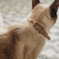 Collar Vegan Leather