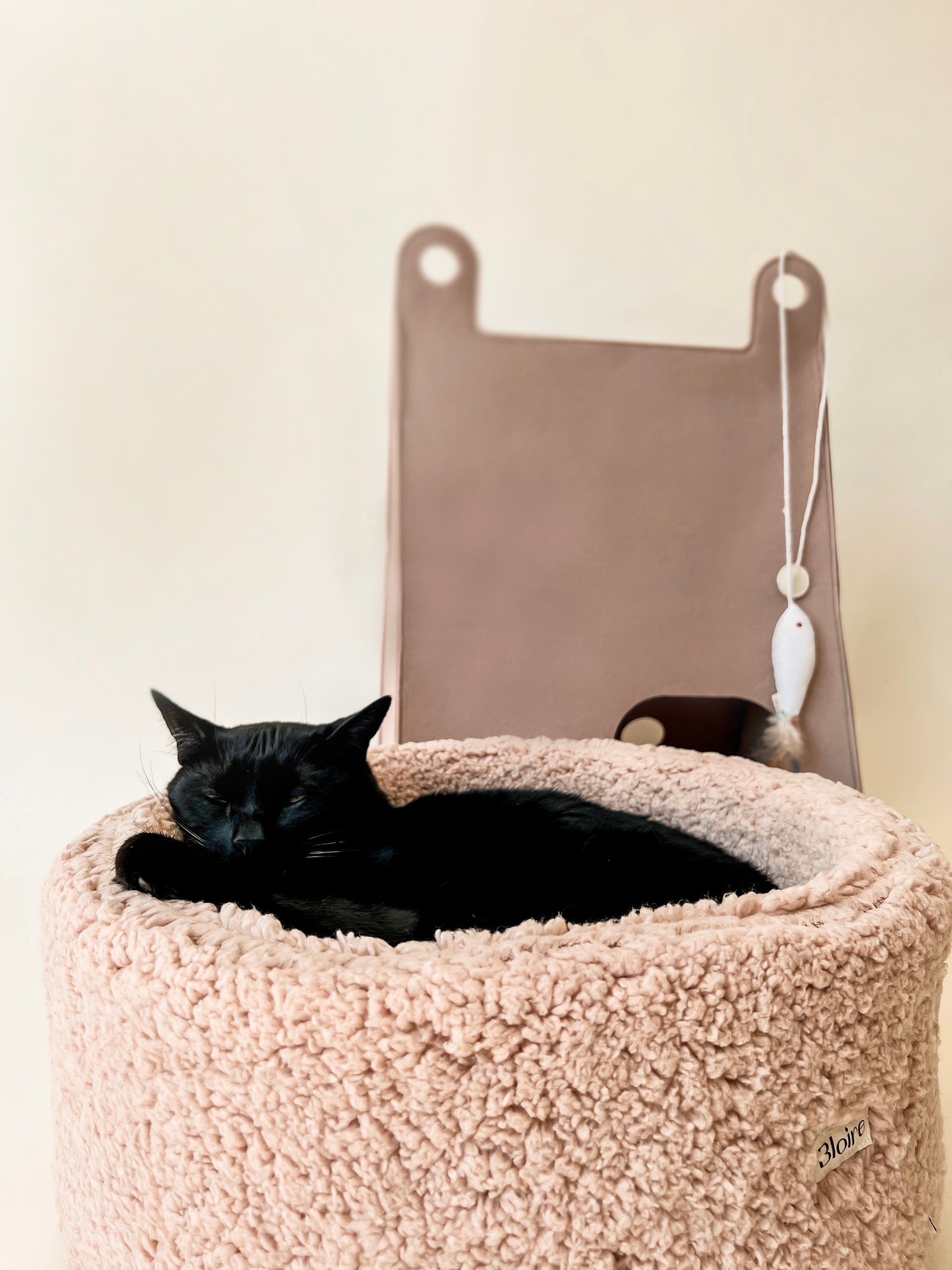 Cheap 2024 cat house