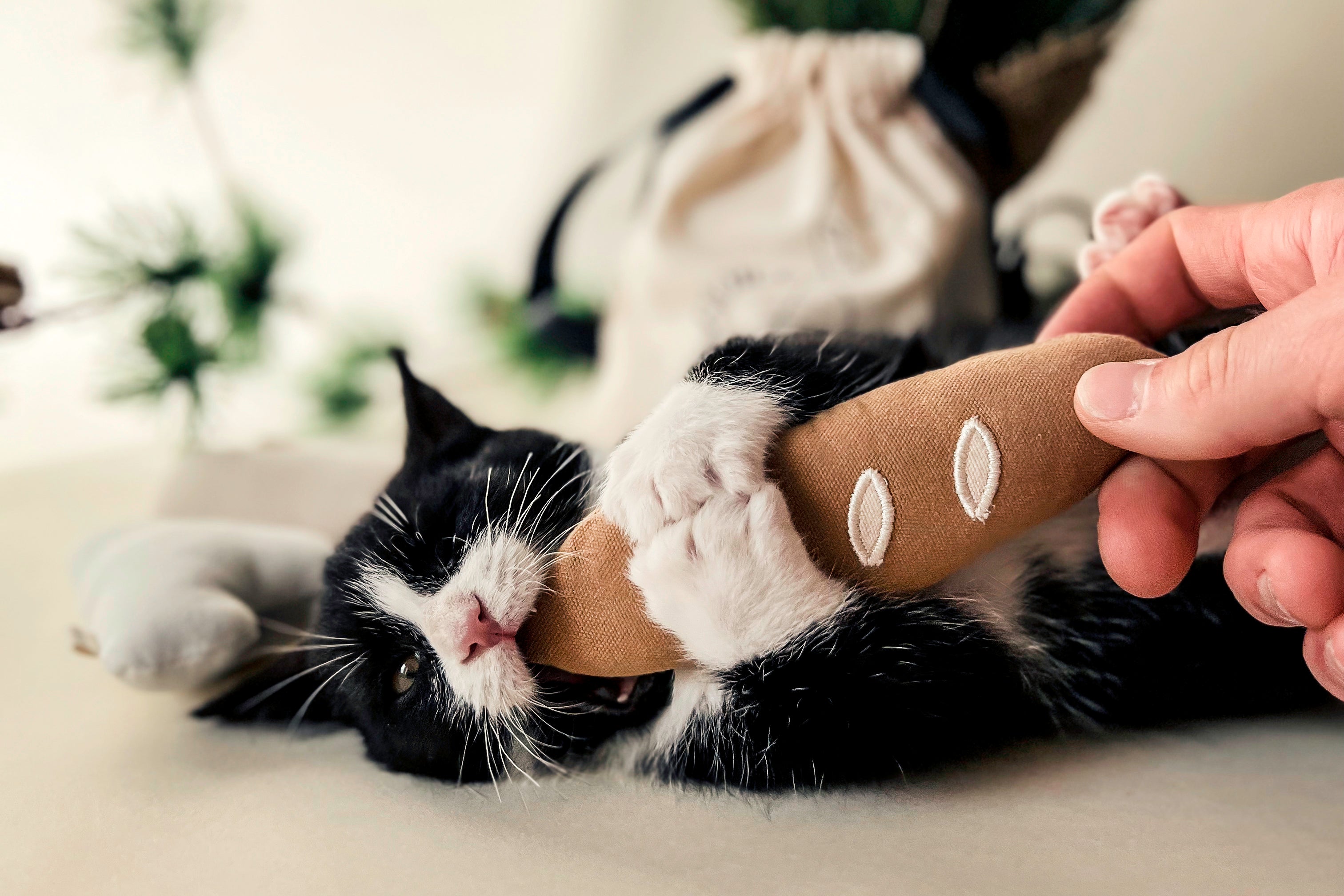 Baguette store cat toy