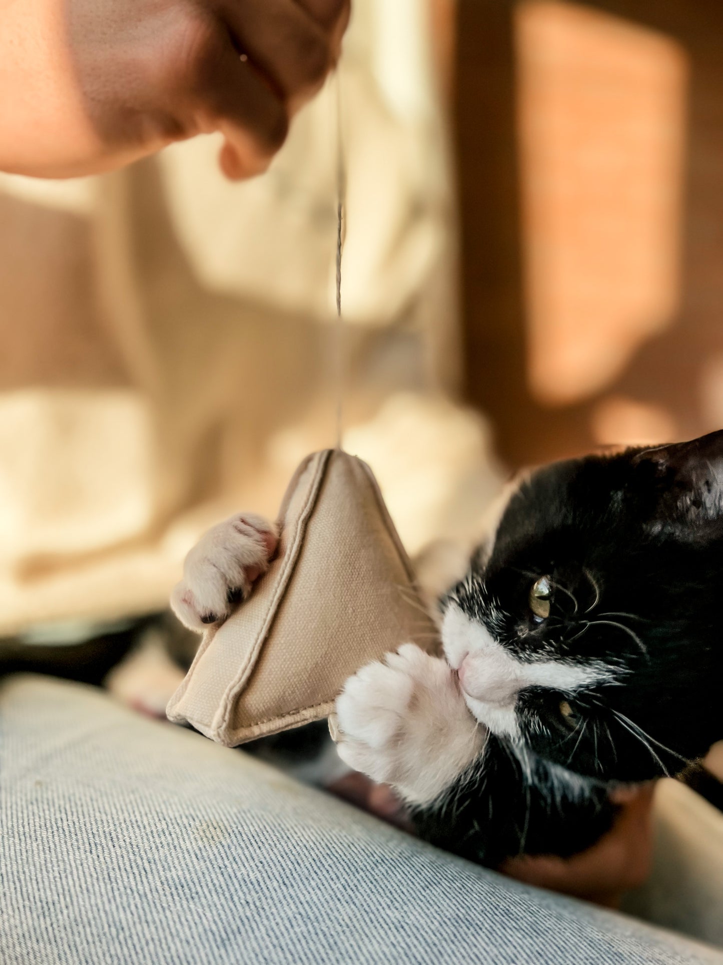 Cat Toy Tea Time