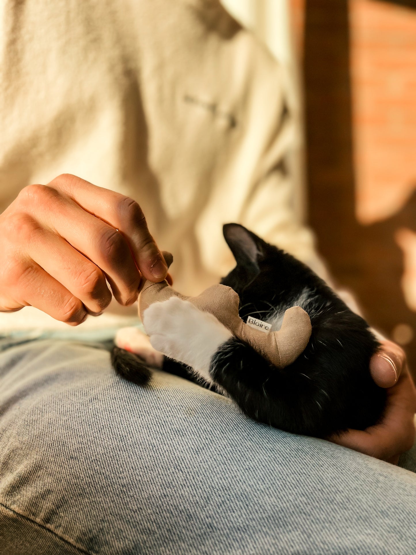 Ensemble de Jouets Pour Chat Petit Déjeuner