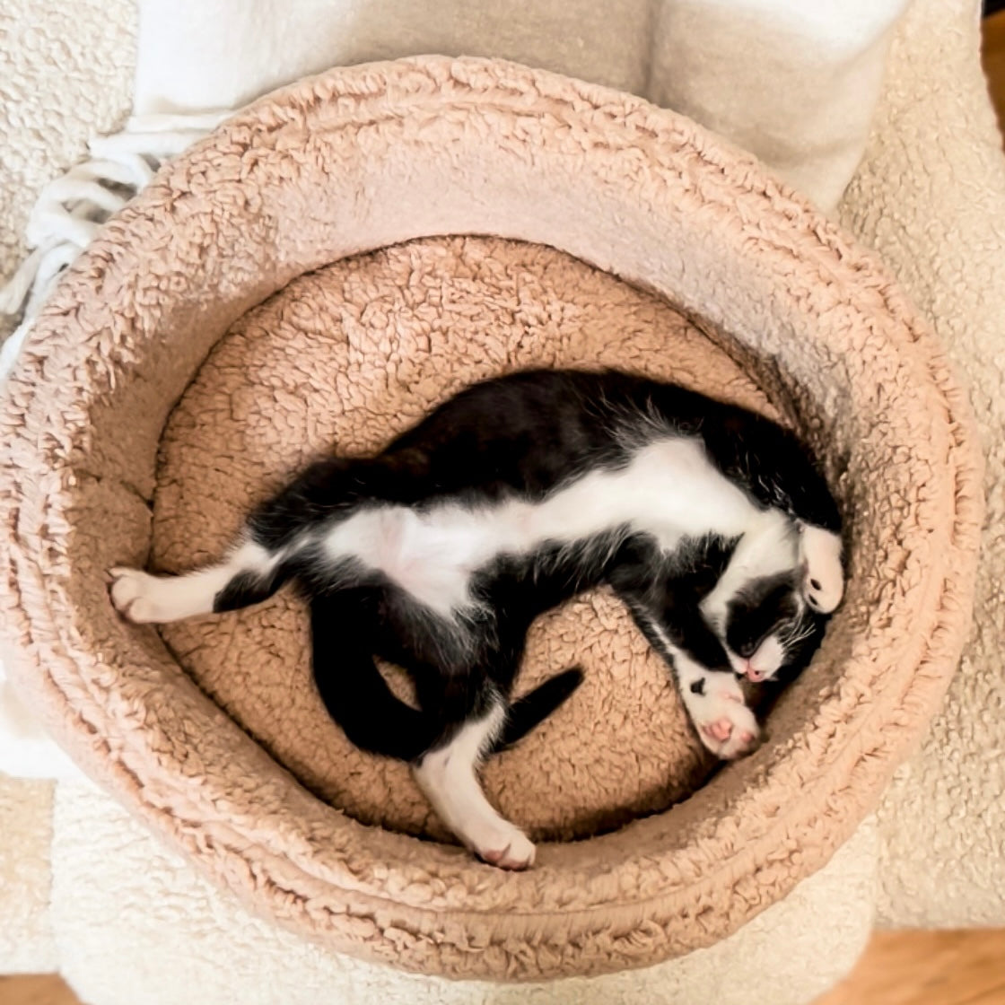 Sherpa hotsell cat bed