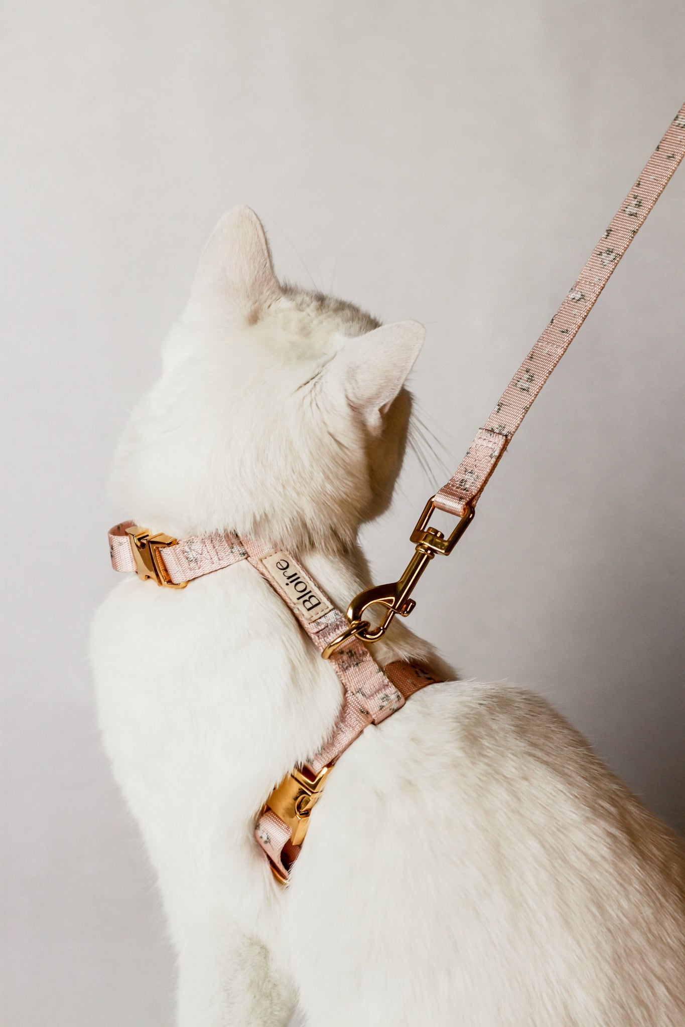 Bloire | Harness and Leash Walk Kit Meadow for Cat