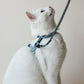 White Cat wearing Bloire Harness Blue Rainbow Kit