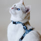 White Cat wearing Bloire Harness Blue Rainbow