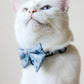 White cat wearing Bloire Bowtie Blue Rainbow