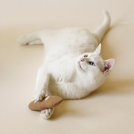 White cat playing with Cat Toy Warm Baguette | Bloire  