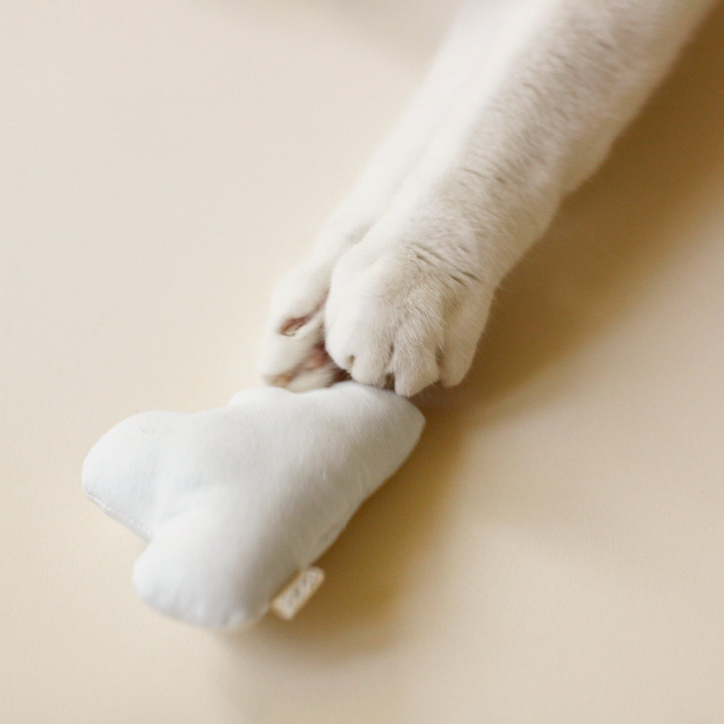 White cat playing with Cat Toy Puffy Cloud | Bloire  