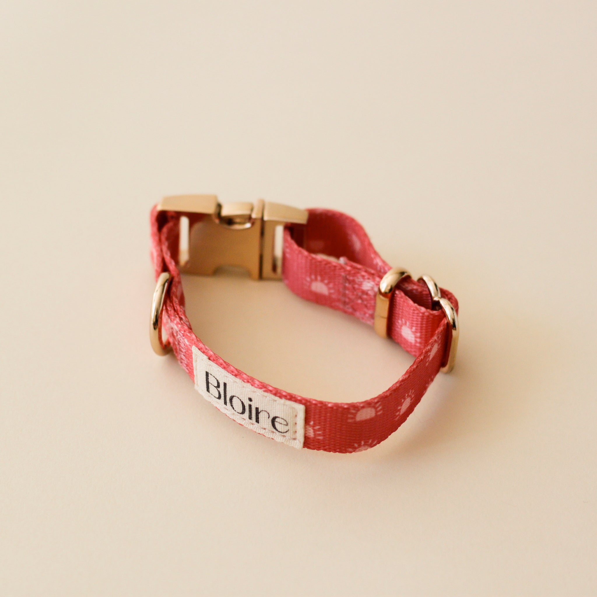 Modern cat collars best sale