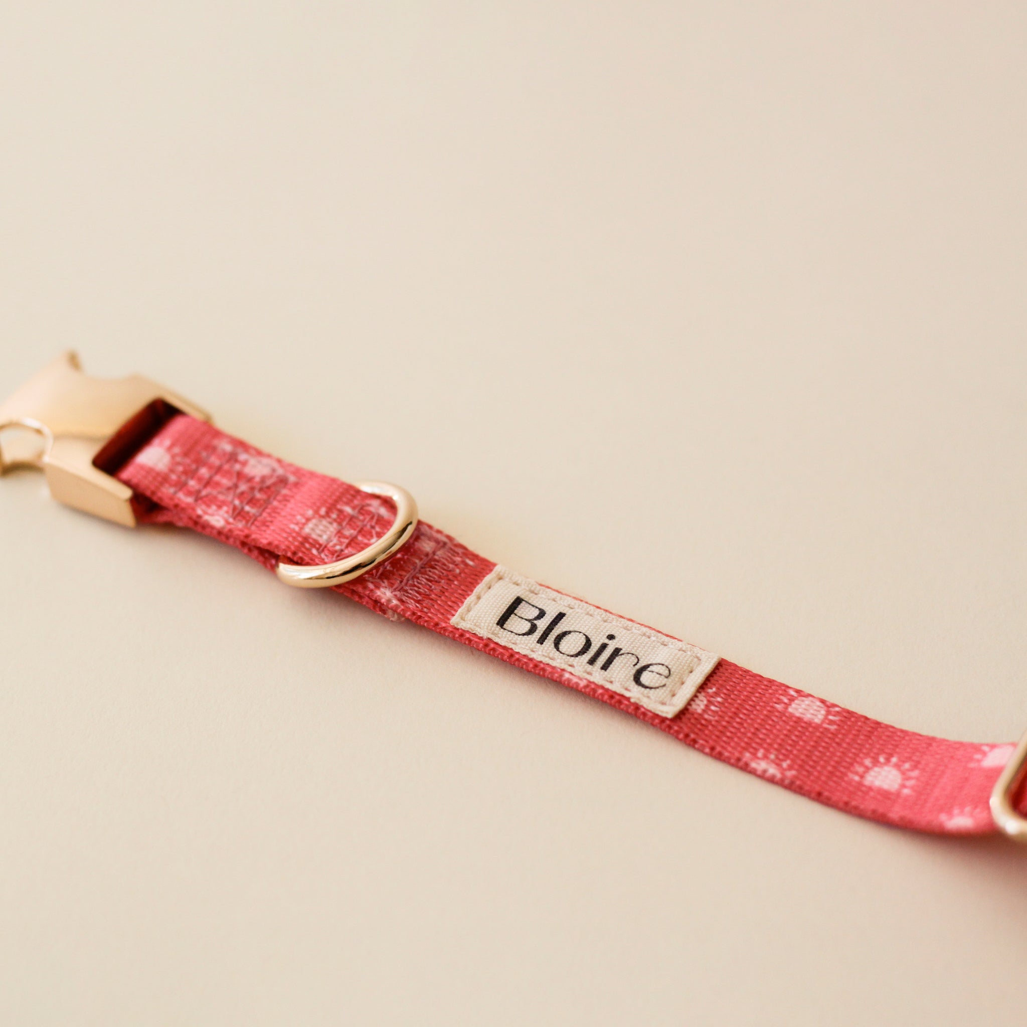 Modern cat fashion collars