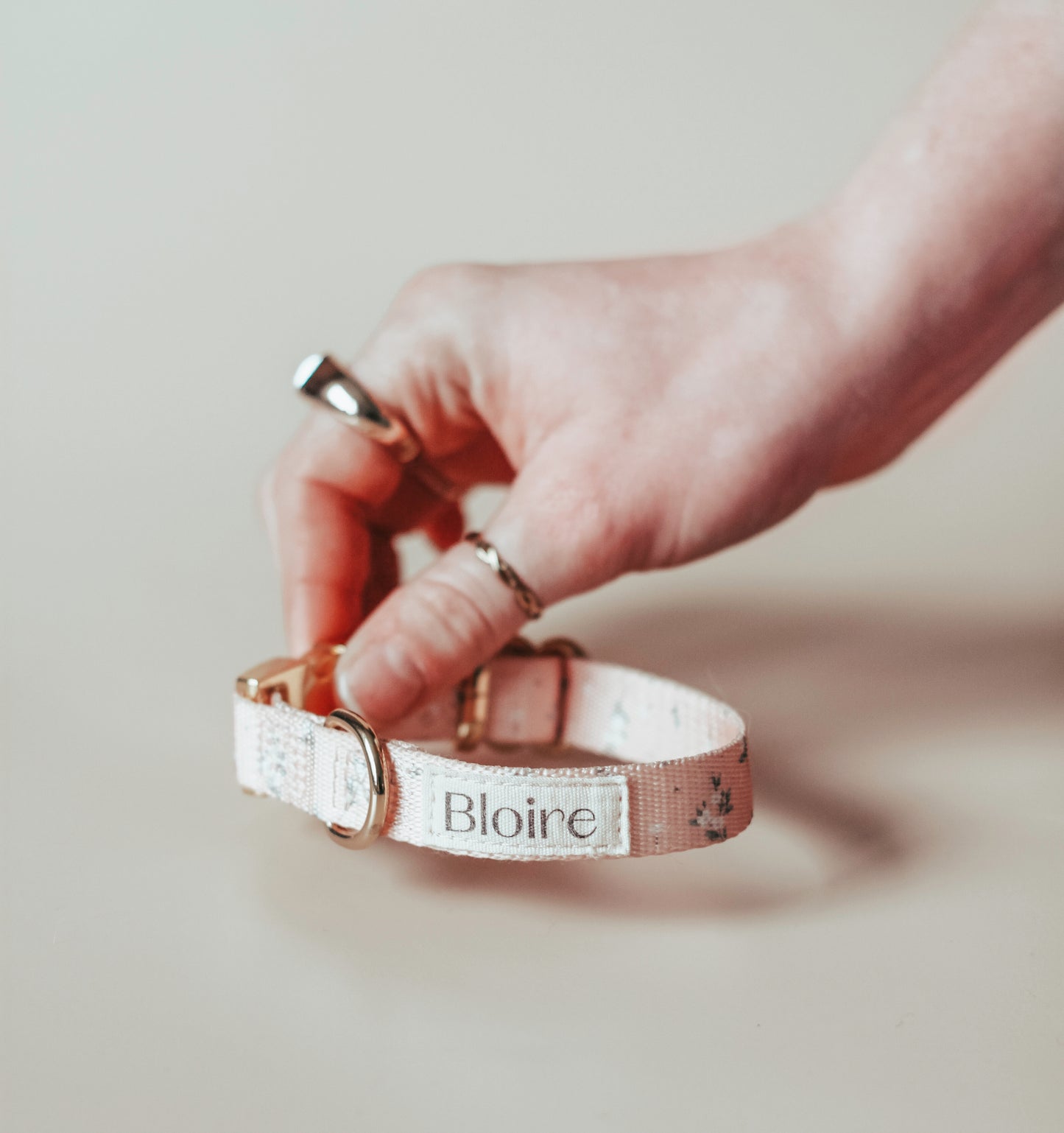 Bloire | Collar Meadow for Cats