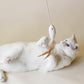 White cat playing with Cat Toy Golden Fish | Bloire