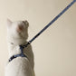 White Cat wearing Walk Kit Blue Premium Leash and Harness 