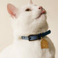 White cat wearing Bloire Collar Vegan Leather with ID Tag Arch Cat Art Gold
