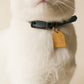 White cat wearing Bloire Collar Vegan Leather Brown with ID Tag Arch Cat Art Gold
