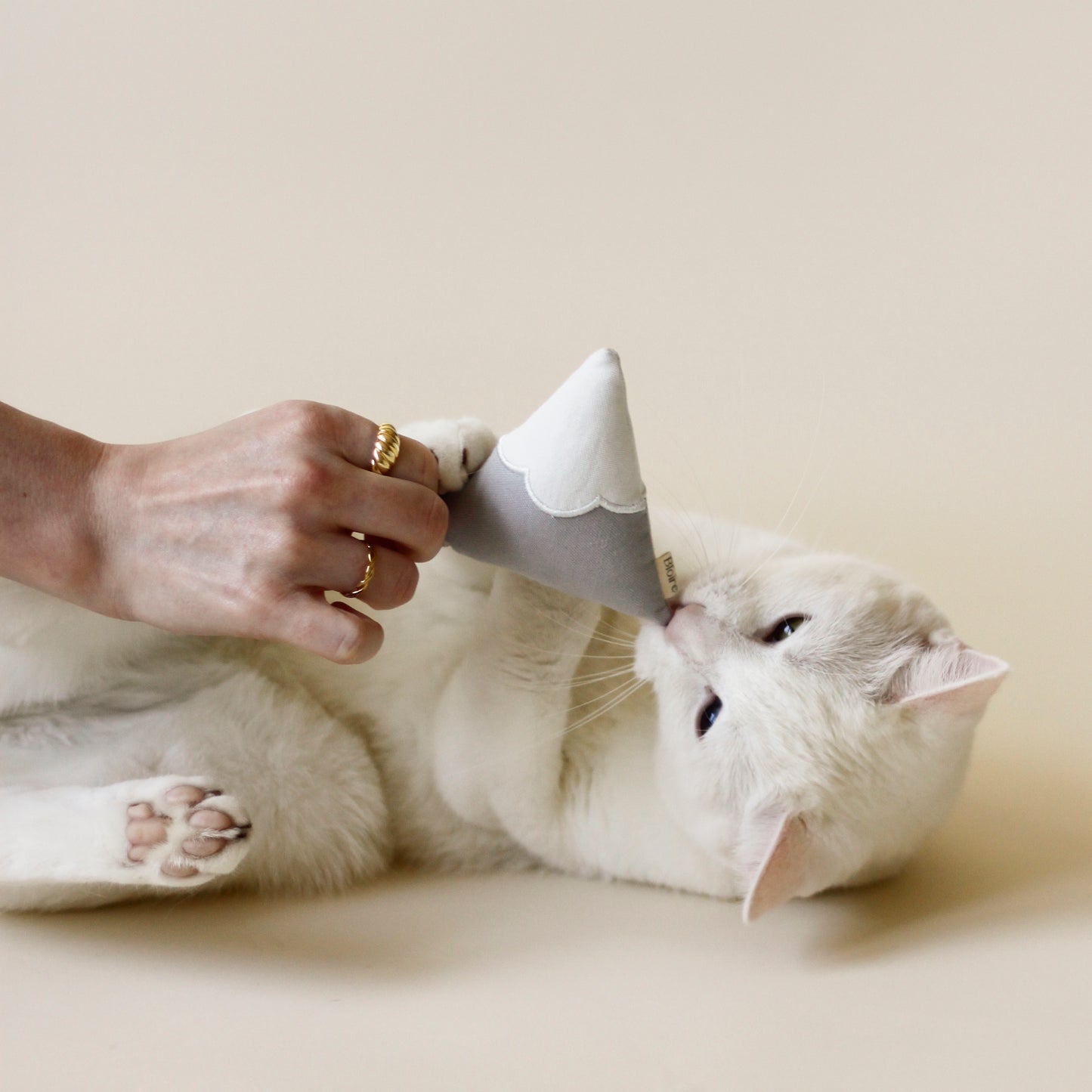 White cat playing with Cat Toy Snowy Mountain | Bloire  